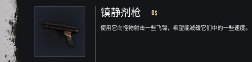 20.webp